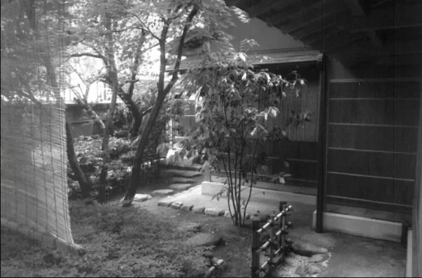 稲穂