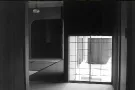 稲穂