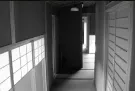 稲穂