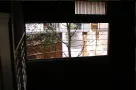 稲穂