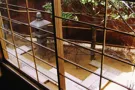 稲穂