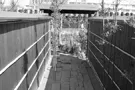 稲穂