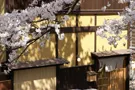 旬味 泰平