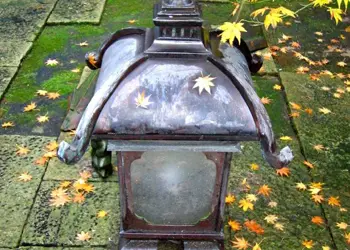 庭の照明